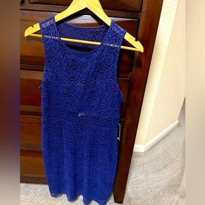 New! Express lace dress